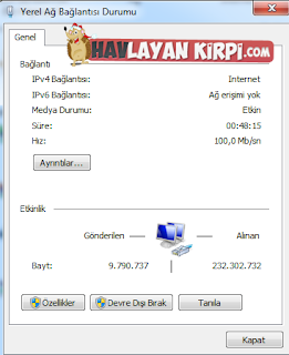 DNS Ayarları
